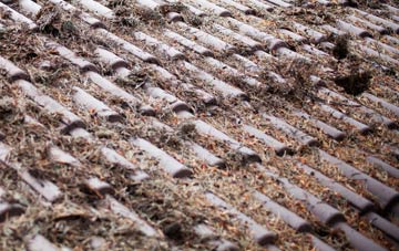 Coelbren roof cleaning companies