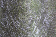 Coelbren fibreglass roof work